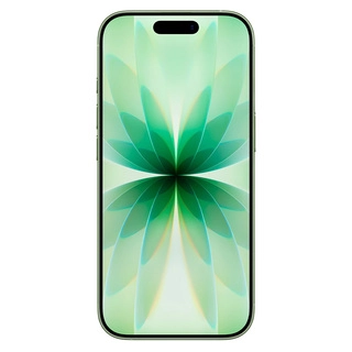 Смартфон apple iphone 17 8/512gb sage Смартфон apple iphone 17 8/512gb sage